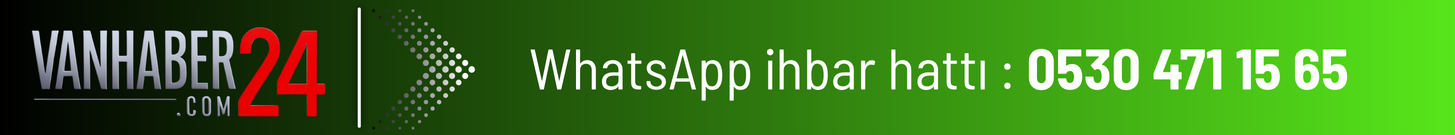 Bir alt başlık ekleyin-2