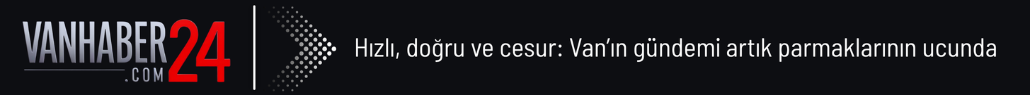 Bir alt başlık ekleyin-3