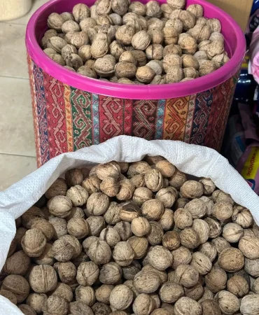 d9a99e95-f86a-45ee-809e-c9dec624ea63