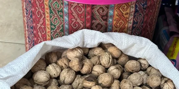 Bahçesaray’da Bereketli Ceviz Sezonu