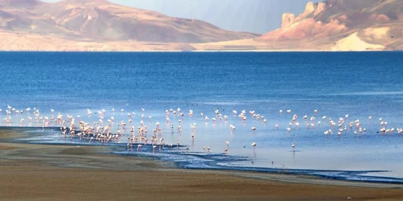 Erçek Gölü Nasıl Gidilir? Van’ın Sessiz Cenneti Ulaşım ve Gezi Rehberi