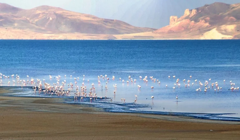 Erçek Gölü Nasıl Gidilir? Van’ın Sessiz Cenneti Ulaşım ve Gezi Rehberi