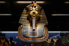 8a391bb0-b4c9-11f0-b6ff-41932c3d9709.jpg (1)