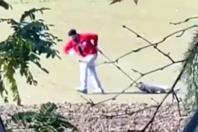 edirne-de-sahipsiz-kopegi-surukleyen-belediyeden-19245214_722_amp