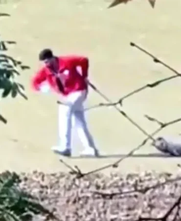 edirne-de-sahipsiz-kopegi-surukleyen-belediyeden-19245214_722_amp