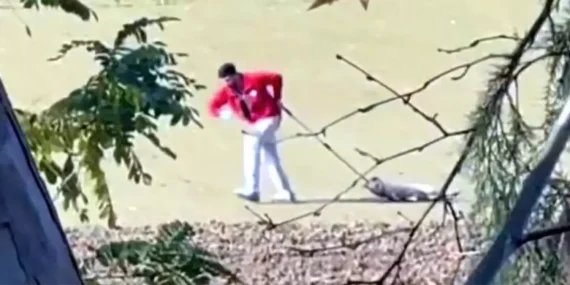 Edirne’de Köpeğe Eziyet Eden Belediye Personeli Gözaltına Alındı