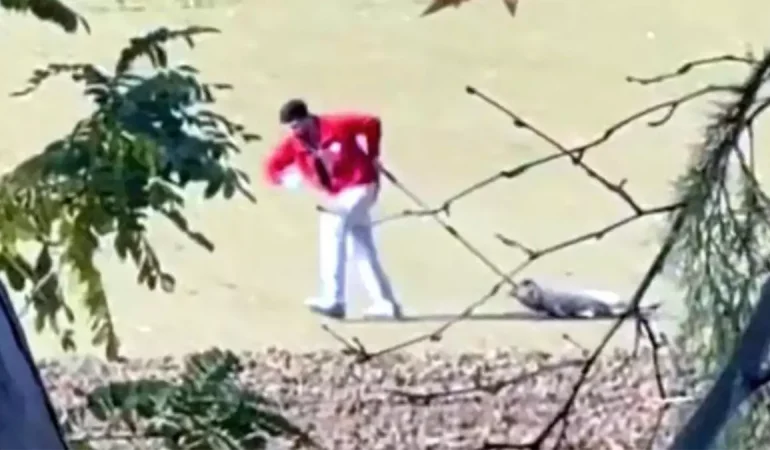 Edirne’de Köpeğe Eziyet Eden Belediye Personeli Gözaltına Alındı