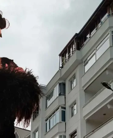 gullu-sorusturmasinda-tuyler-urperten-iddia-19207696_835_amp