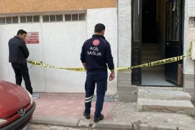 qVNei_1762250534_6497