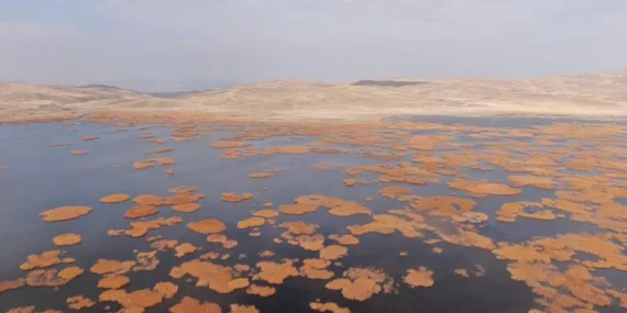 Van’da tarih ve doğa sonbaharın son dansında buluştu