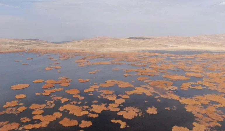 Van’da tarih ve doğa sonbaharın son dansında buluştu