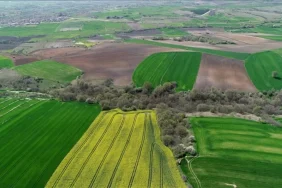 vanda-yatirim-sansi-acele-eden-van-golune-yakin-arsayi-icradan-alacak