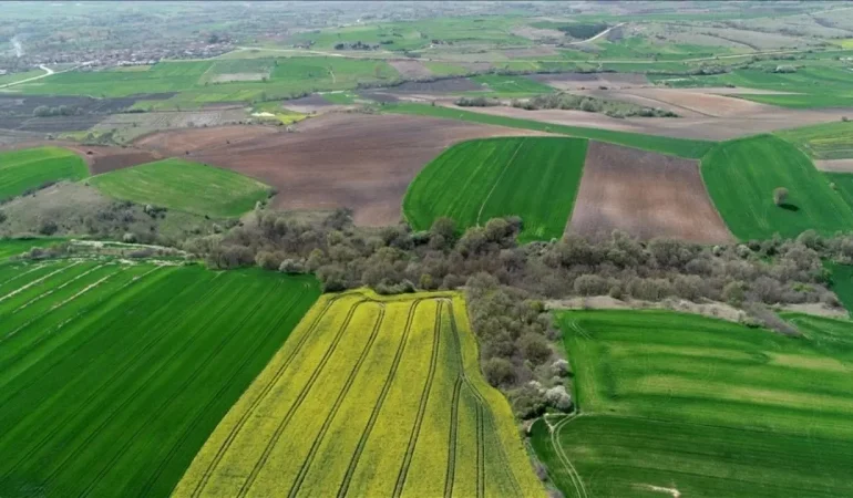 Van’da Yatırım Fırsatı: Van Gölü’ne Nazır 10 Dönümlük Arsa İcradan Satışta!