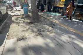 whatsapp-image-2025-11-01-at-145512-2