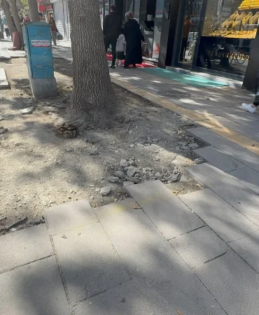 whatsapp-image-2025-11-01-at-145512-2