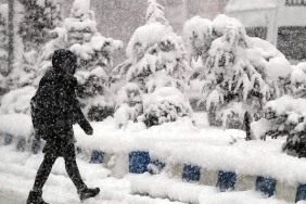 752x395-1766932081249