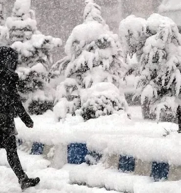 752x395-1766932081249