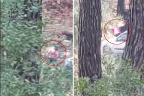 goruntu-izmir-den-sesleri-duyup-once-kayda-aldi-19318456_3356_amp