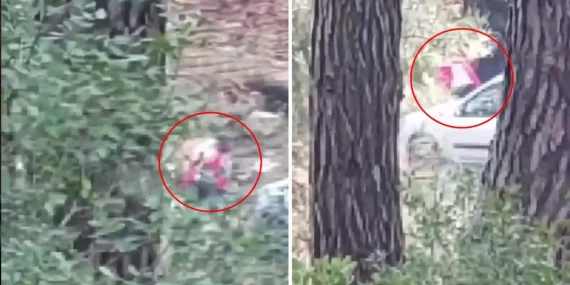 İzmir’de Ormanlık Alanda Çığlıklar: Kadının İmdat Sesleri Kayıtlara Yansıdı