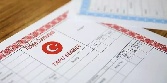 Hisseli Tapu Sahipleri Dikkat! 90 Gün İçinde İşlem Yapmayan Hakkını Tamamen Kaybediyor