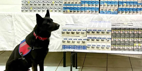 Van’da 8 bin 200 paket kaçak sigara ele geçirildi