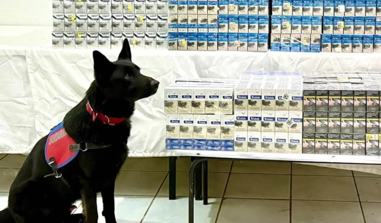 Van’da 8 bin 200 paket kaçak sigara ele geçirildi