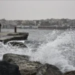 c3ae393c-25b0-404a-b66a-6790a8bb9291